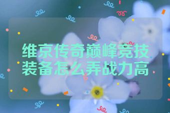 维京传奇巅峰竞技装备怎么弄战力高