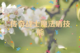 传奇战士魔法盾技能