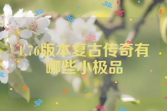 1.76版本复古传奇有哪些小极品