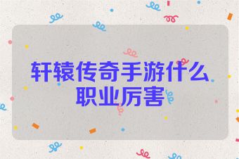 轩辕传奇手游什么职业厉害