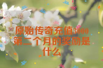 原始传奇充值3000第二个月的奖励是什么