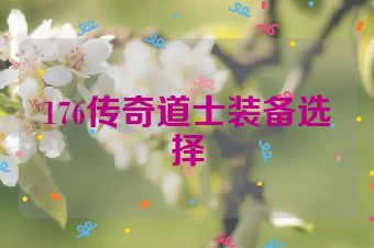 176传奇道士装备选择