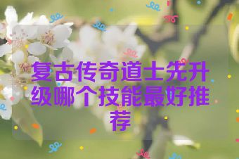 复古传奇道士先升级哪个技能最好推荐