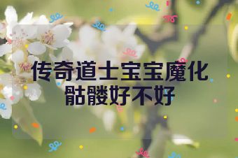 传奇道士宝宝魔化骷髅好不好