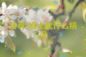 传奇4道士配什么精灵