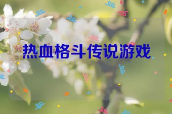 热血格斗传说游戏
