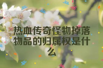 热血传奇怪物掉落物品的归属权是什么