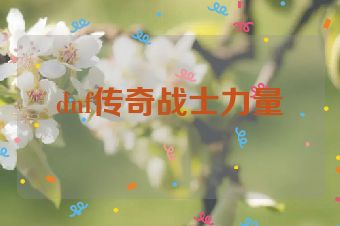 dnf传奇战士力量