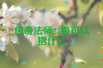 传奇法师23级可以招什么