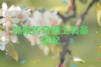 热血传奇道士装备搭配