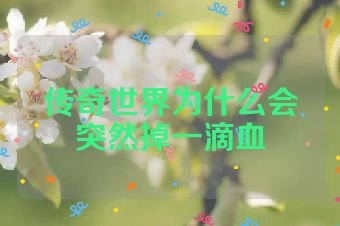 传奇世界为什么会突然掉一滴血