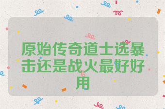 原始传奇道士选暴击还是战火最好好用