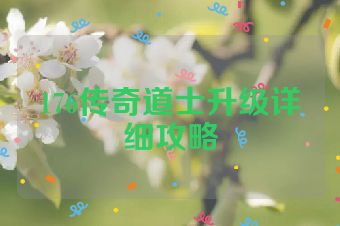 176传奇道士升级详细攻略