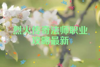 烈火传奇法师职业攻略最新