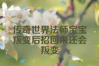 传奇世界法师宝宝叛变后招回来还会叛变