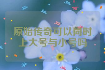 原始传奇可以同时上大号与小号吗