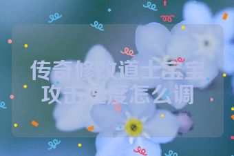 传奇修改道士宝宝攻击速度怎么调