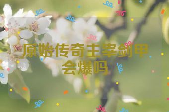 原始传奇主宰剑甲会爆吗