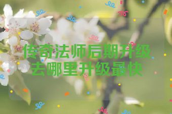 传奇法师后期升级去哪里升级最快