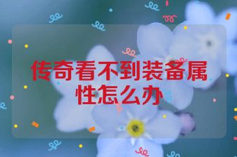 传奇看不到装备属性怎么办