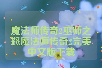 魔法师传奇2巫师之怒魔法师传奇2完美中文版下载