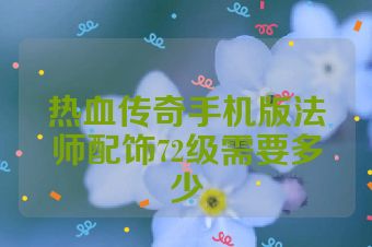 热血传奇手机版法师配饰72级需要多少
