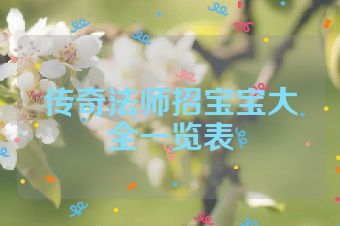传奇法师招宝宝大全一览表