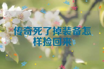 传奇死了掉装备怎样捡回来