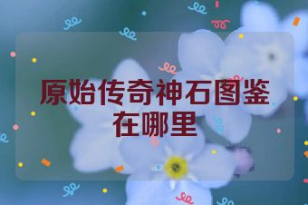 原始传奇神石图鉴在哪里