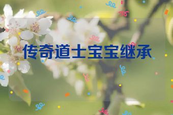 传奇道士宝宝继承