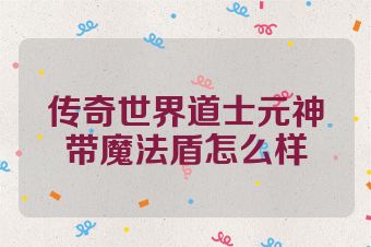 传奇世界道士元神带魔法盾怎么样