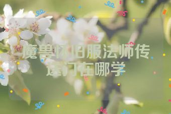 魔兽怀旧服法师传送门在哪学