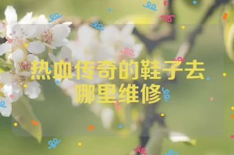 热血传奇的鞋子去哪里维修
