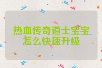 热血传奇道士宝宝怎么快速升级