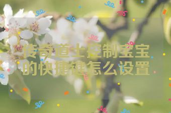传奇道士控制宝宝的快捷键怎么设置
