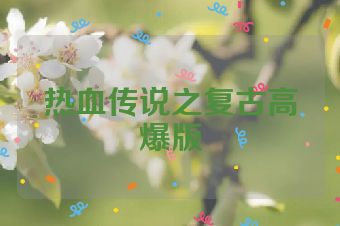 热血传说之复古高爆版