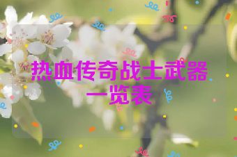 热血传奇战士武器一览表