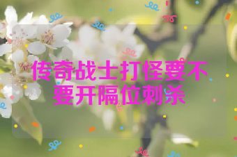 传奇战士打怪要不要开隔位刺杀