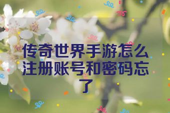 传奇世界手游怎么注册账号和密码忘了
