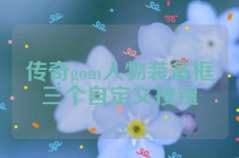 传奇gom人物装备框三个自定义按钮