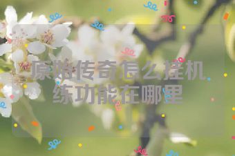 原始传奇怎么挂机练功能在哪里