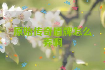 原始传奇盾牌怎么弄啊