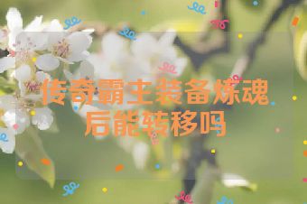 传奇霸主装备炼魂后能转移吗