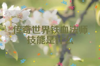 传奇世界铁血法师技能是什么