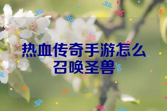 热血传奇手游怎么召唤圣兽