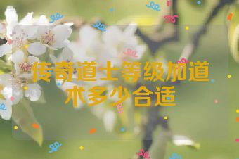 传奇道士等级加道术多少合适
