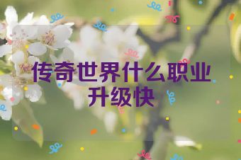 传奇世界什么职业升级快