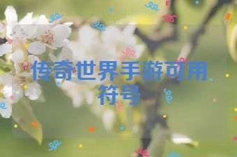 传奇世界手游可用符号