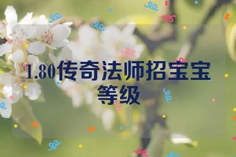 1.80传奇法师招宝宝等级