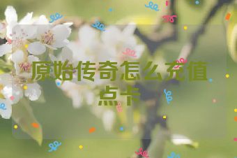 原始传奇怎么充值点卡
